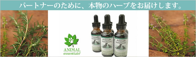 パートナーのために、本物のハーブをお届けします。