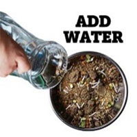 水を注ぐ
