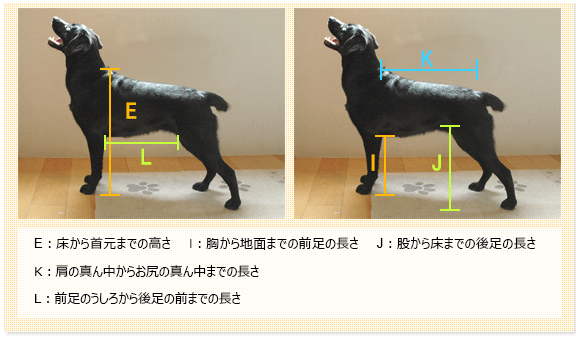 車イス　オーダーメイド採寸方法