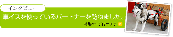 思いっきり走ってほしいから･･･安全第一の設計