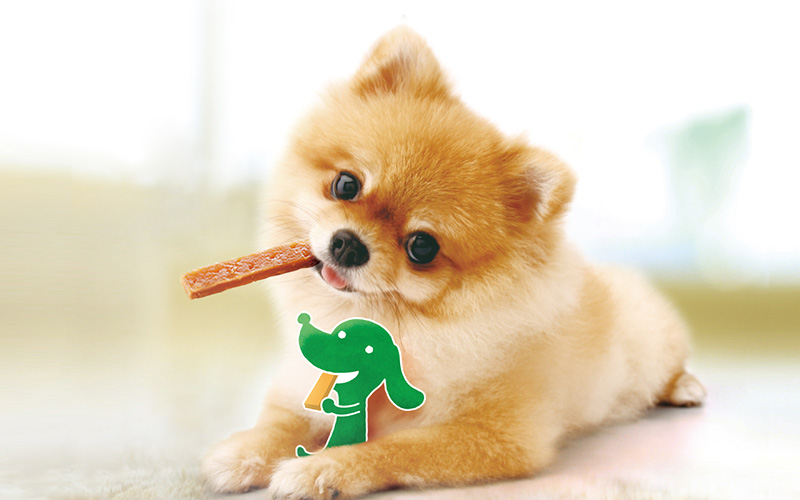 Dr.デンタル | プレミアムドッグフード専門店・GREEN DOG(グリーンドッグ)公式通販 Dr.デンタル | プレミアムドッグフード専門店・GREEN DOG(グリーンドッグ)公式通販