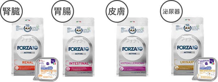 アクティブシリーズ