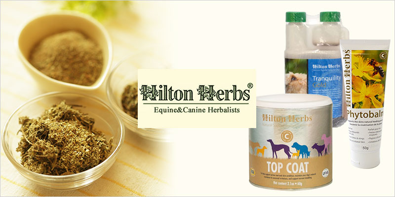 Hilton Herbs（ヒルトンハーブ） | GREEN DOG(グリーンドッグ)公式通販