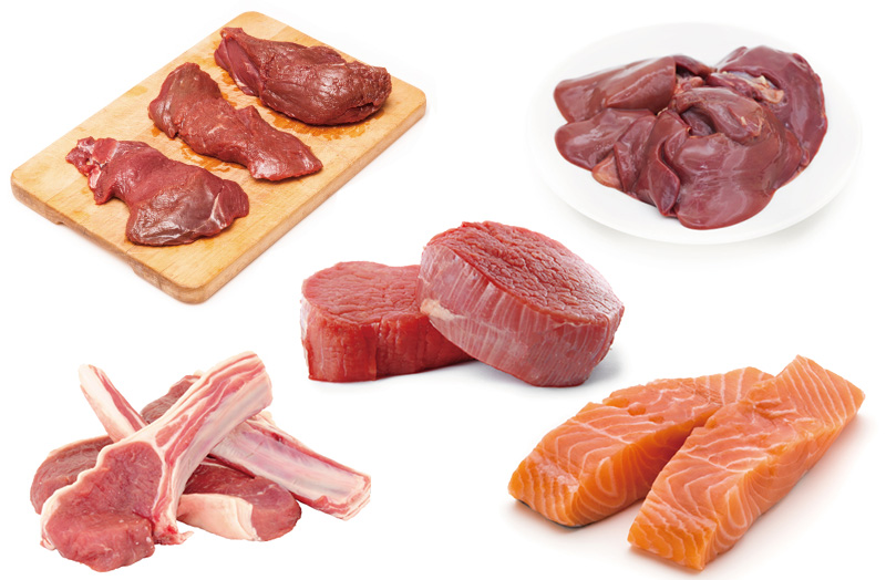 シンプルな原材料・「単一肉原料+フィッシュ」
