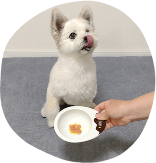 くちどけゼリーを食べる犬