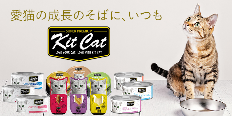 Kit Cat（キットキャット）