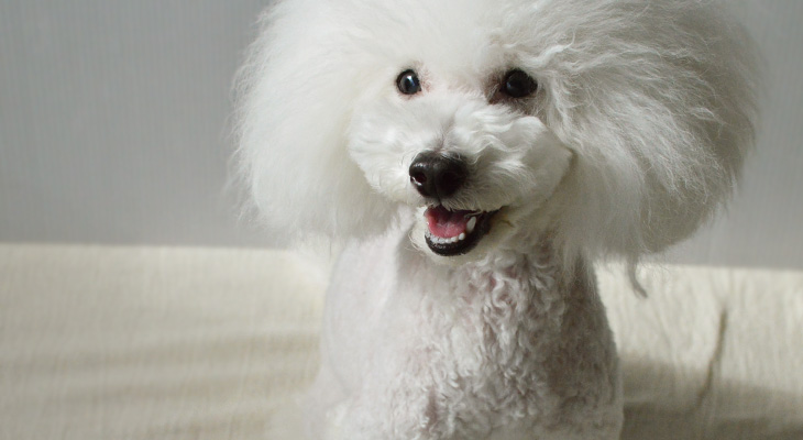 本来の美しさのサポートと健やかさの追求