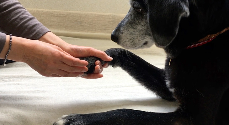 暮らしの質の向上