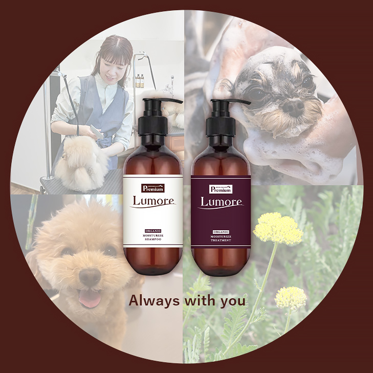 ルモアラストイメージ