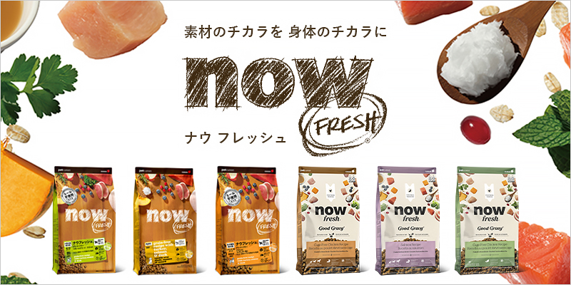 NOW FRESH（ナウ フレッシュ）