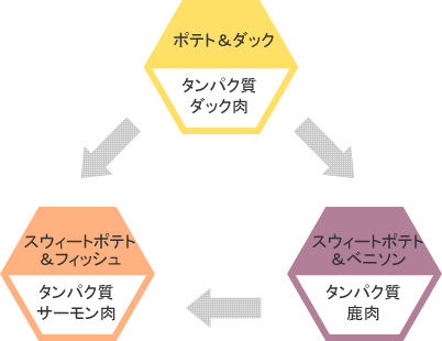 アレルギーにならないようこれらをローテーション