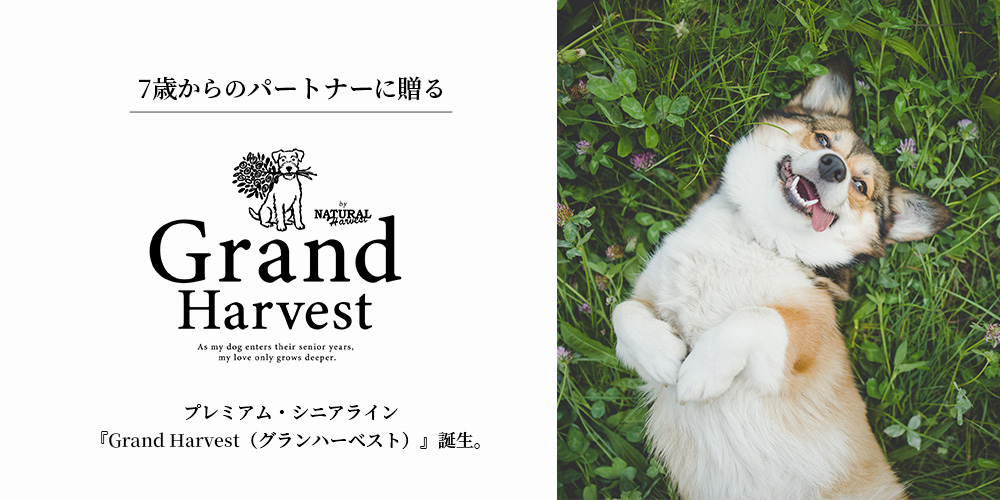 Grand Harvest（グランハーベスト）