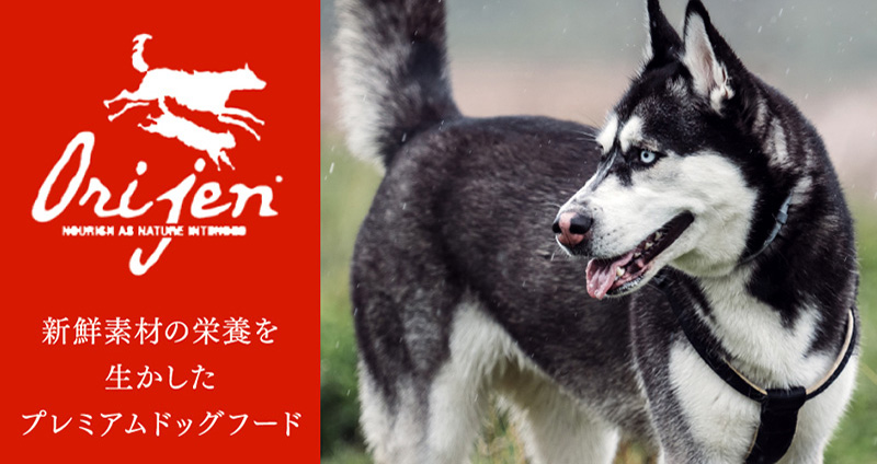 Orijen（オリジン）《正規代理店》 | GREEN DOG(グリーンドッグ)公式通販