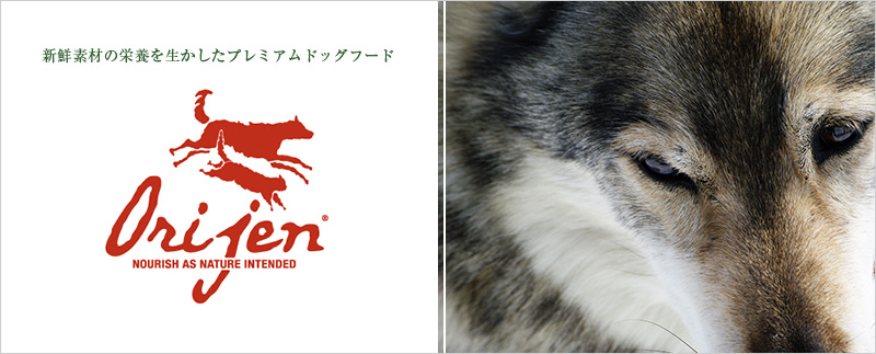 Orijen(オリジン) Orijen(オリジン)