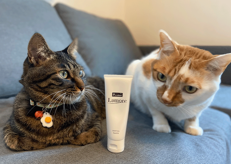 Premiumブランドイメージ