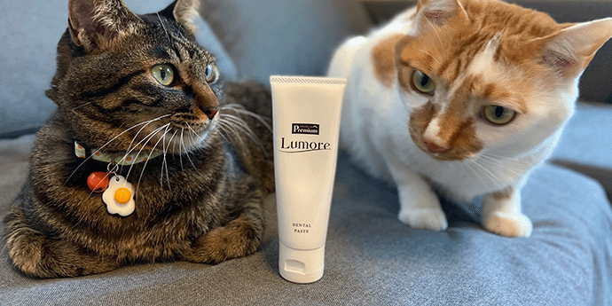 ルモアイメージ