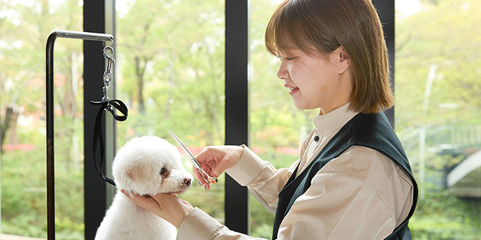 ルモアイメージ