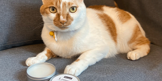 ルモアイメージ