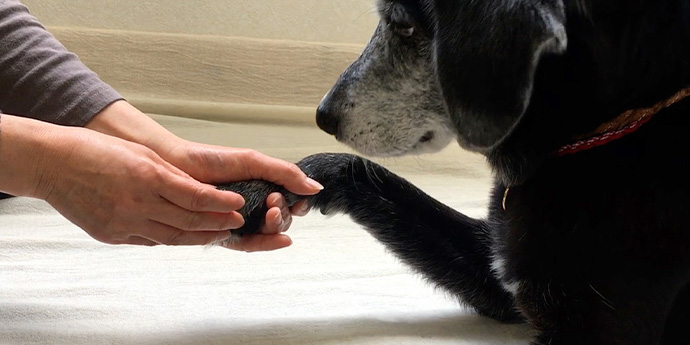 ルモアイメージ