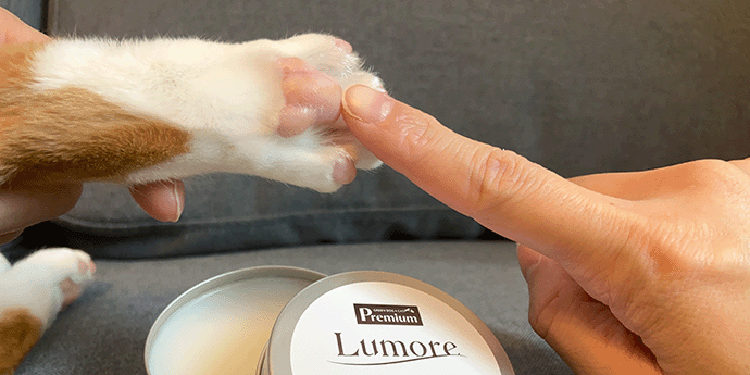 ルモアイメージ