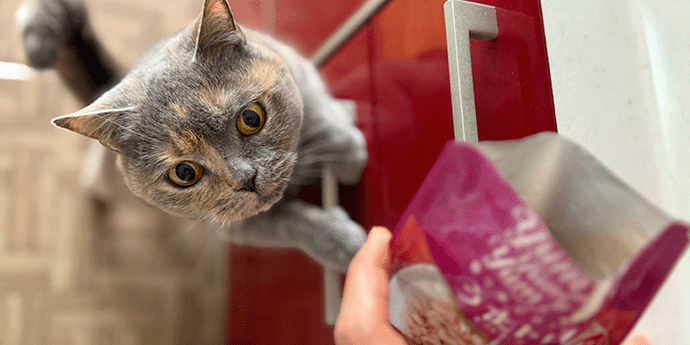 ヤムヤムヤム!<イメージ