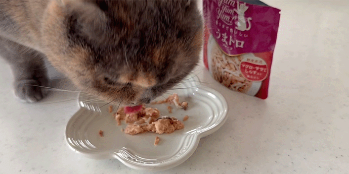 ヤムヤムヤム!<イメージ