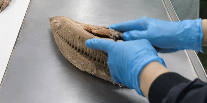 ヤムヤムヤム！<イメージ