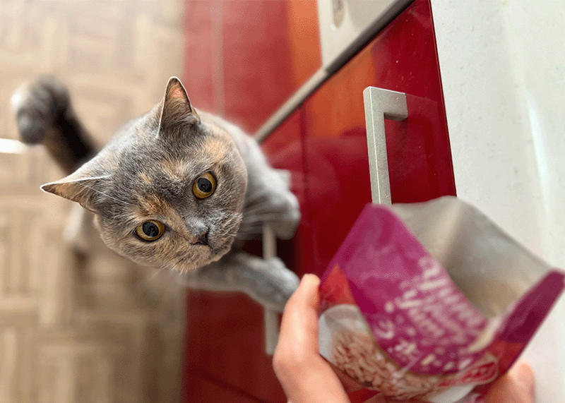 ヤムヤムヤム！ブランドイメージ