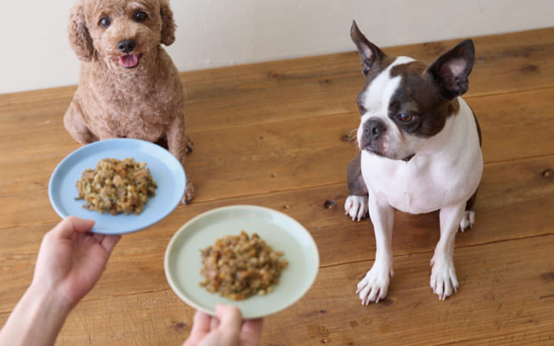 商品開発者の愛犬「哲（てつ）」の存在