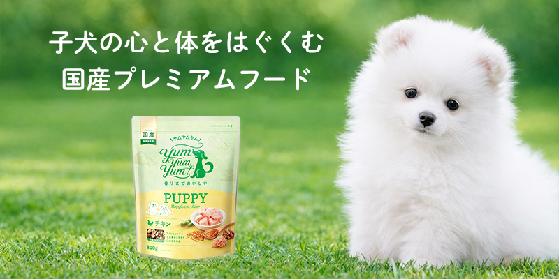 yumyumyum!パピーイメージ