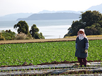 長崎県 契約農家農場イメージ