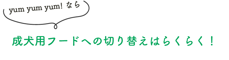 yum yum yum! なら成犬用フードの切り替えはらくらく