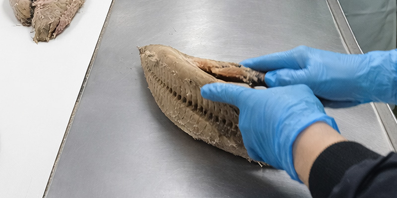 食品レベルの製造・品質管理