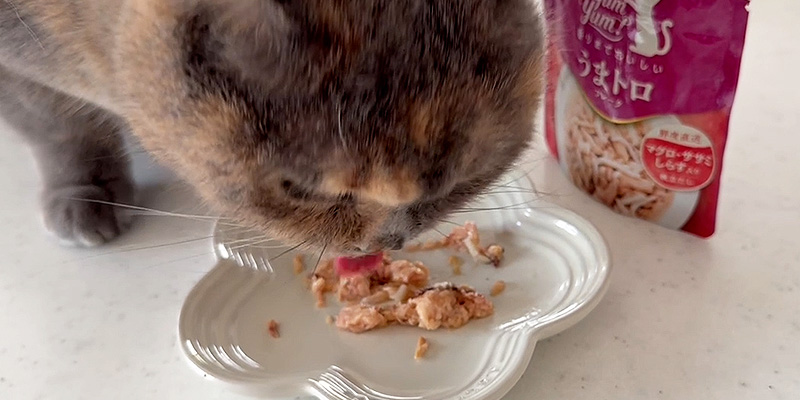 余計なものはつかわない