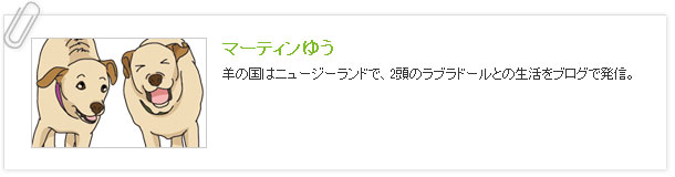 マーティンゆう：羊の国はニュージーランドで、2頭のラブラドールとの生活をブログで発信。