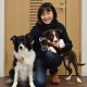 【犬との暮らし】　シニア犬と暮らす 2　～椎間板ヘルニアと介護