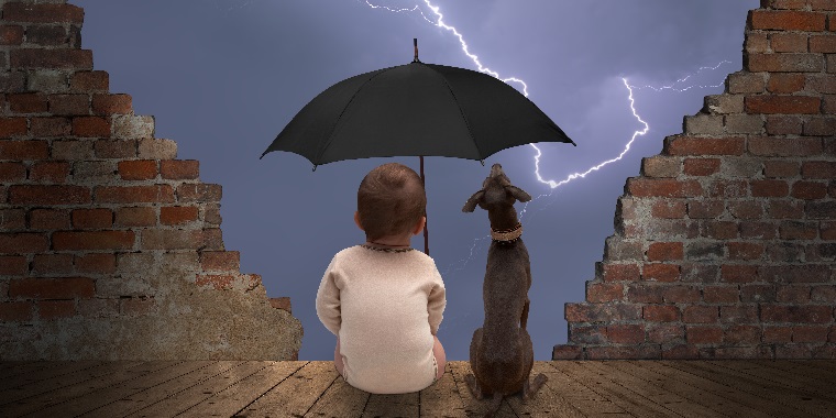 行動学の専門家がお答え！犬が雷を怖がる理由と対処法