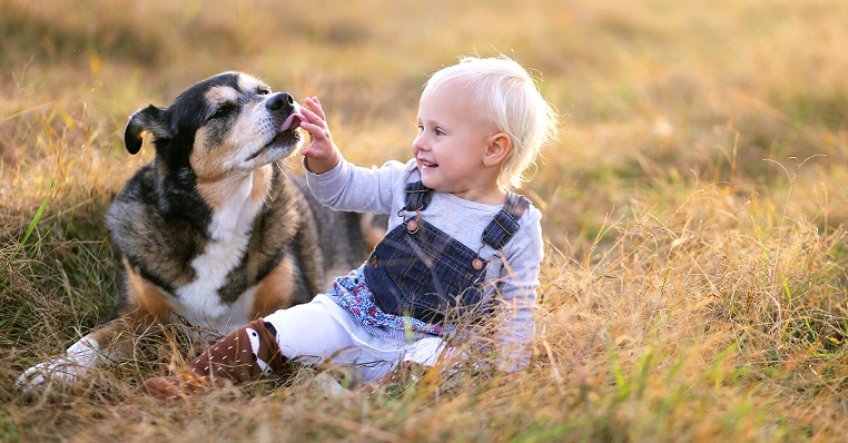 犬の行動学専門獣医師が解説！犬が舐める理由とやめさせる方法とは