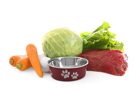 犬がキャベツを食べるのは大丈夫？最適な量や与え方と簡単レシピ
