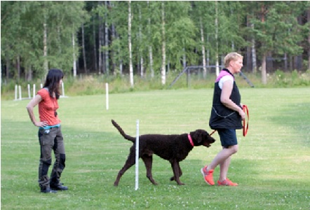 スウェーデンでポピュラーな犬の気質テスト