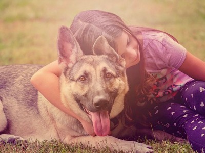 イギリスの子供向けワークショップから考える、犬と人が幸せに暮らすための「犬の福祉」について