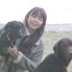 【犬種シリーズ】ジャーマン・ピンシャー ～ミニチュア・ピンシャー の祖先犬