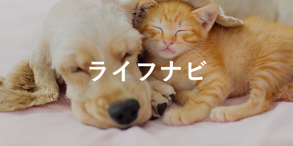 ライフナビ