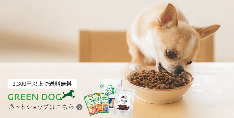 3,300円以上で送料無料 GREEN DOG（グリーンドッグ）ネットショップはこちら