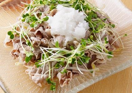 イメージ写真:消化を助ける食物酵素がたっぷりの大根おろしや生のカイワレ大根