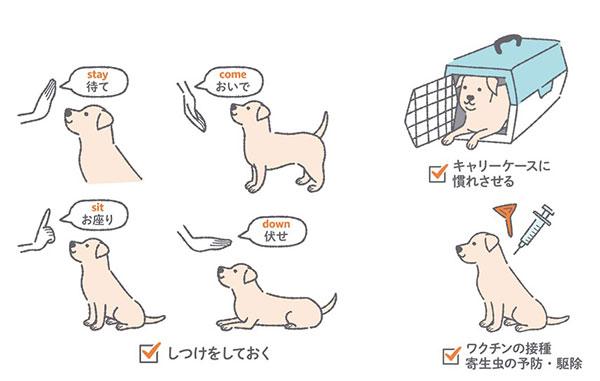 愛犬のための防災対策
