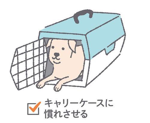 クレートトレーニング