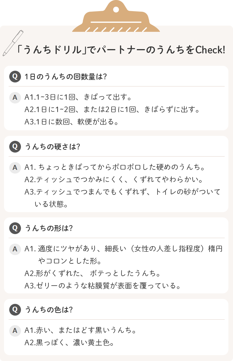 愛猫用うんちドリル