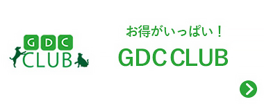 GDC CLUB