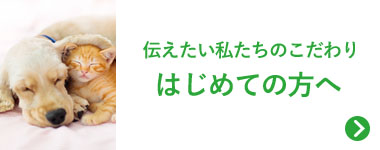初めての方へ
